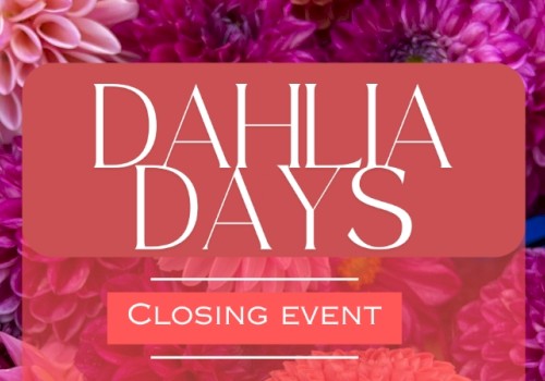 The image features a pink background with text 