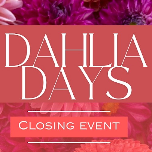 The image features a pink background with text 