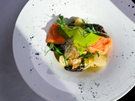 A gourmet plate features smoked salmon, microgreens, herbs, and a vibrant green sauce on a white dish with black seasoning accents.