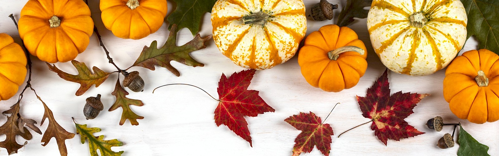 The image features small pumpkins, autumn leaves, and acorns arranged on a light wooden surface, creating a seasonal decorative border.