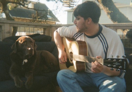 A man plays an acoustic guitar on a bench next to a brown dog, both outdoors on a sunny day.