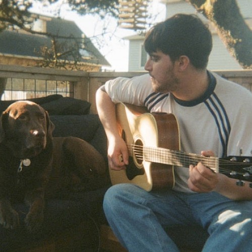 A man plays an acoustic guitar on a bench next to a brown dog, both outdoors on a sunny day.