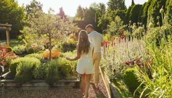 Two people walk arm-in-arm through a sunlit garden filled with colorful flowers and lush greenery.