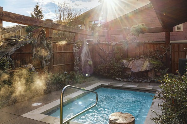 A sunny backyard pool scene with a small rectangular pool, stone stepping stones, a fence, and a sunburst glare over blooming plants and a wooden trellis.