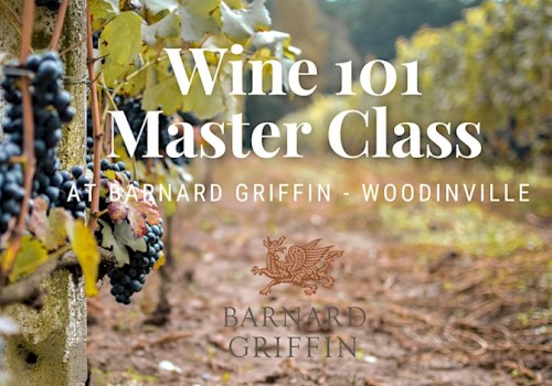 Grapevines with ripe dark grapes in a vineyard; “Wine 101 Master Class” event by Barnard Griffin, Woodinville, with logo in foreground, sunny autumn scene.