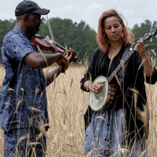 Two people are playing string instruments in a tall grass field, with trees in the background on a clear day.