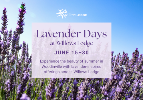 Lavender Days at Willows Lodge from June 15-30, featuring lavender-inspired offerings in Woodinville during summer.
