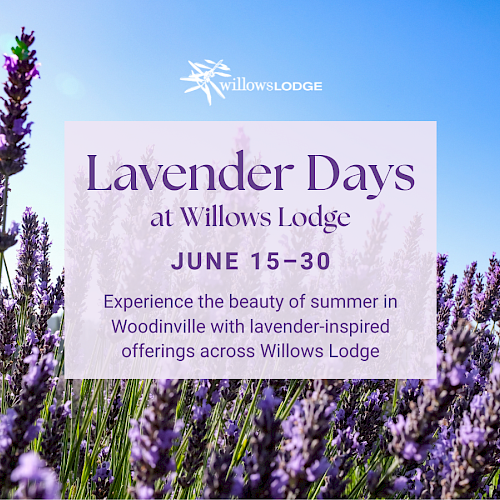 Lavender Days at Willows Lodge from June 15-30, featuring lavender-inspired offerings in Woodinville during summer.