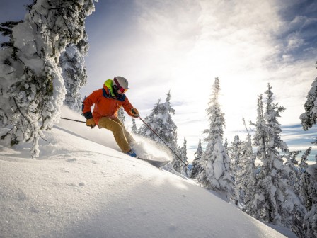 A skier in an orange jacket and beige pants descends a snowy slope among snow-covered trees under a cloudy sky.