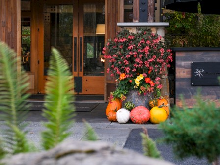 Pumpkins, flowering plants, and fall decorations outside a rustic wooden building's entrance with a sign.