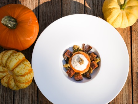 A plated gourmet pumpkin dish is surrounded by decorative pumpkins on a rustic wooden table.