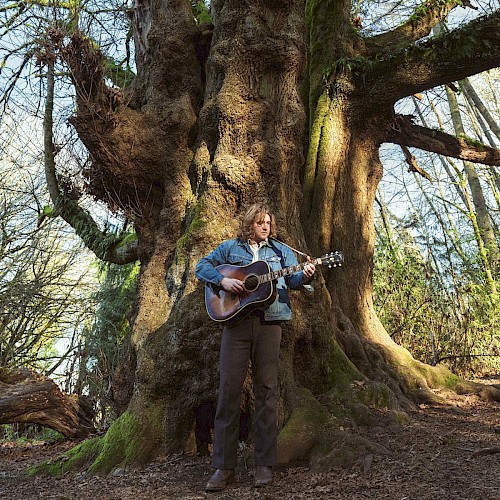 A person with long hair playing an acoustic guitar outdoors near an ancient, massive tree in a lush forest setting.