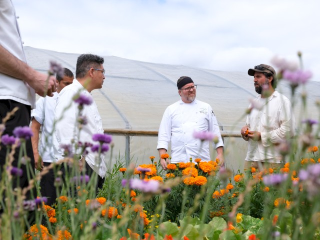 A group of people, including a chef, discussing in a flower garden with marigolds and other blooms, under an overcast sky.