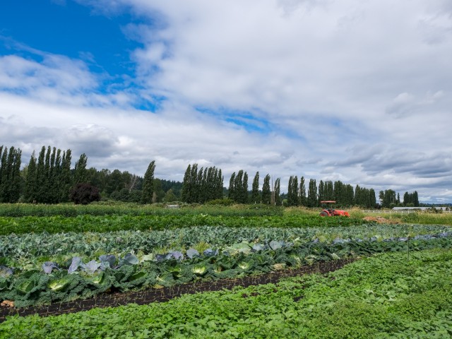 The image shows a lush farm with rows of vegetables, green trees, and a tractor, under a partly cloudy sky, indicating a peaceful rural scene.