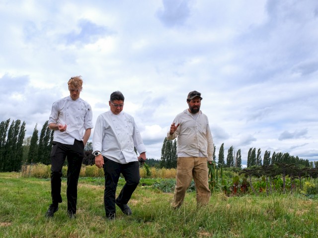 Three men, two dressed as chefs and one in casual attire, walk through a lush, green field on a cloudy day, discussing something.