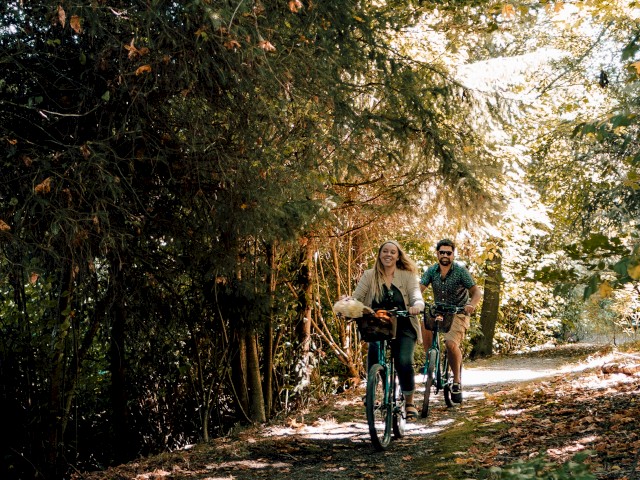 A couple biking on a sunlit forest trail surrounded by autumn leaves.