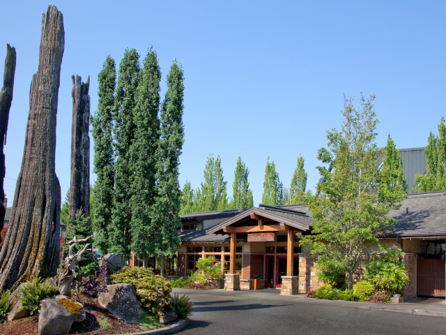 A building with a wooden entrance, surrounded by green trees and tall, weathered tree trunks under a clear blue sky.