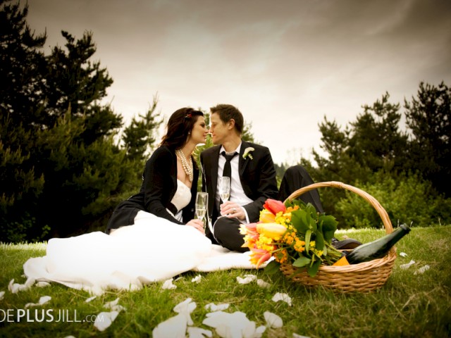 A couple dressed in wedding attire enjoys a romantic picnic outdoors with flowers and champagne, surrounded by trees and a dramatic sky.