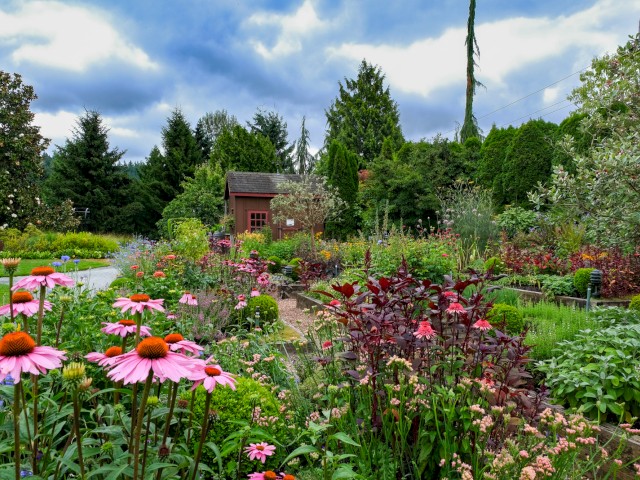 A colorful garden with various flowers, trees, and a small red shed under a partly cloudy sky.