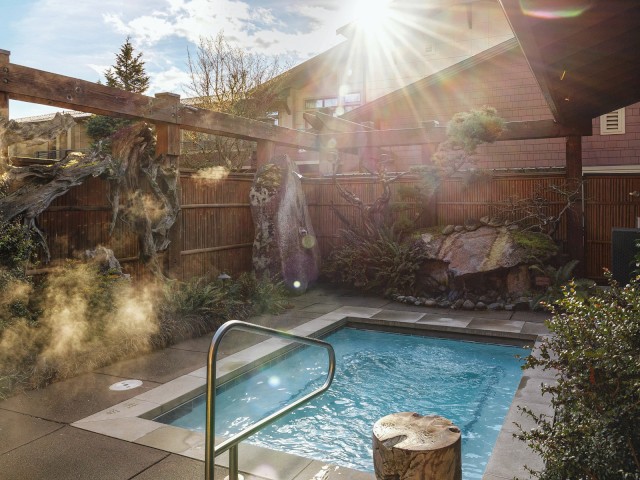 A peaceful backyard with a small pool, rocks, trees, fence, and sunlight shining brightly overhead.