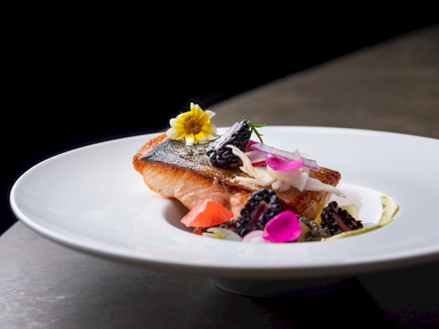 A beautifully plated piece of salmon with blackberries, edible flowers, and vegetables on a white dish.