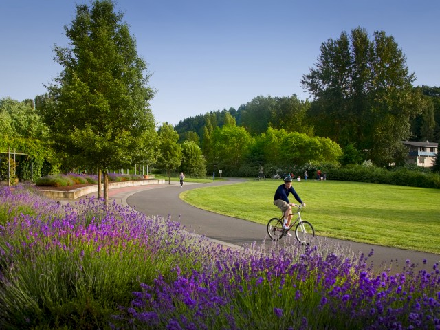 People enjoy cycling and walking in a scenic park with lush greenery, blooming lavender, and a clear blue sky on a sunny day.