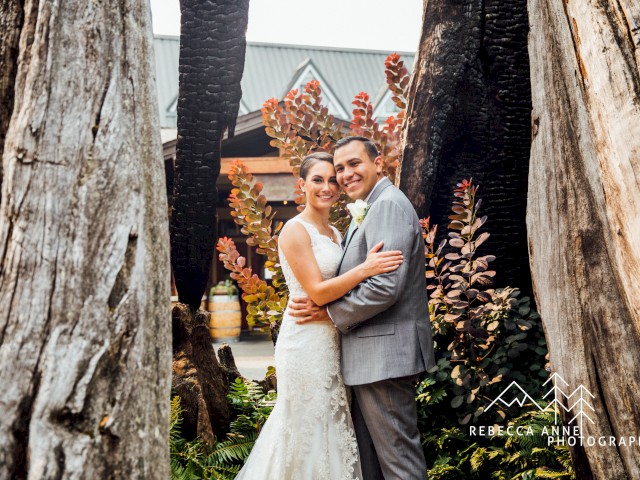 A newlywed couple poses in a natural setting with large trees and colorful foliage behind them, celebrating their wedding day.