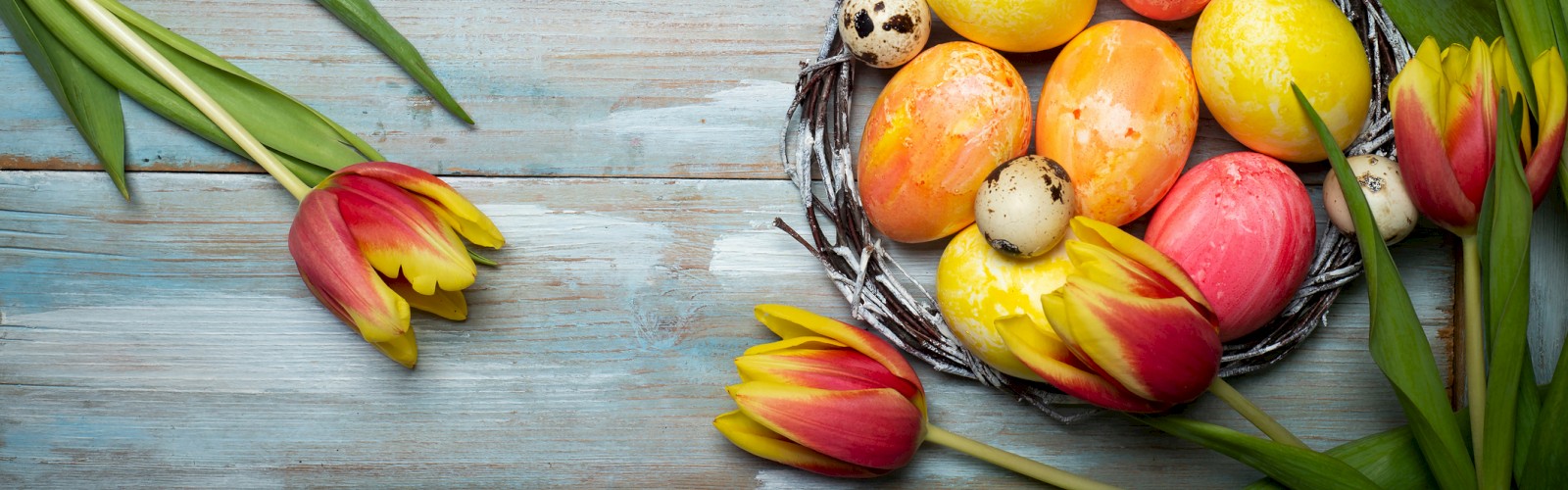 A nest with colorful Easter eggs and speckled quail eggs is surrounded by red and yellow tulips on a rustic wooden background.