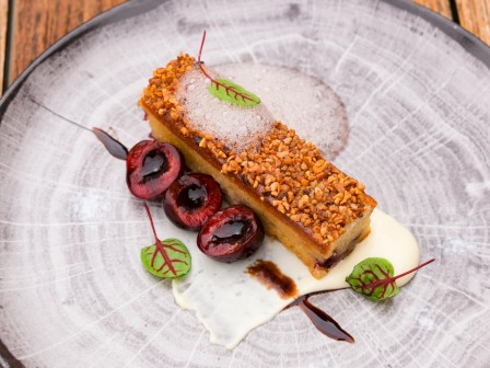 A plated dessert features a cake with nuts, cherries, white sauce, and garnishes on a textured dish.