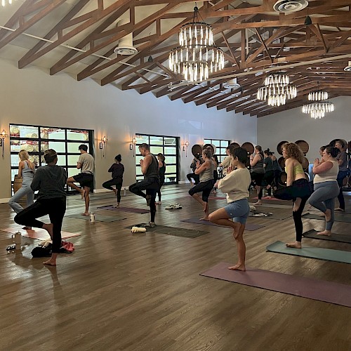 Group yoga class