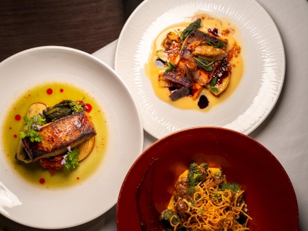 Three plated dishes with vibrant colors and garnishes, featuring meats and vegetables, displayed creatively on white and red plates.