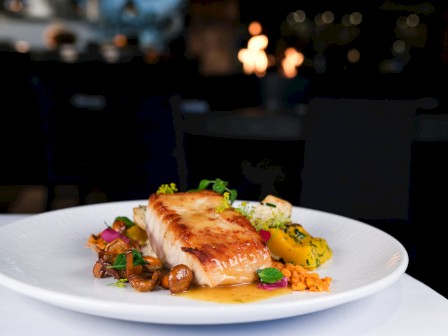 A gourmet dish featuring a piece of seared fish accompanied by vegetables and garnished with herbs, presented elegantly on a white plate.