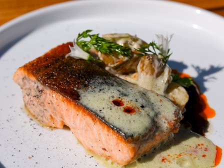 A piece of salmon with sauce, garnished with herbs and vegetables, is served on a white plate.