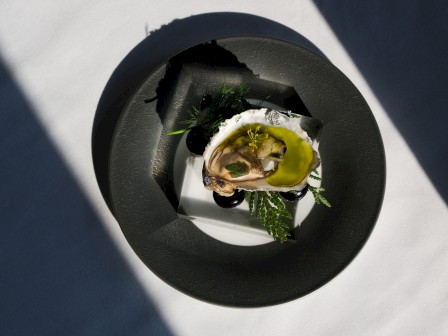 A gourmet dish with an oyster on a black plate, garnished with herbs and a green sauce, displayed artistically in light and shadow.